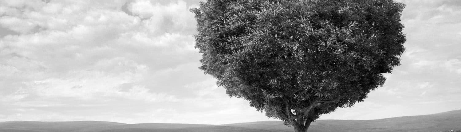 HR i skyen_pexels-photo-207962 sh
