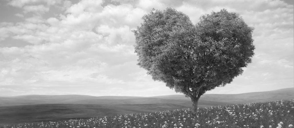 Tree shaped like a heart on the horizon