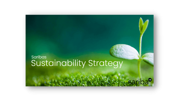 Sustainability Strategy 1